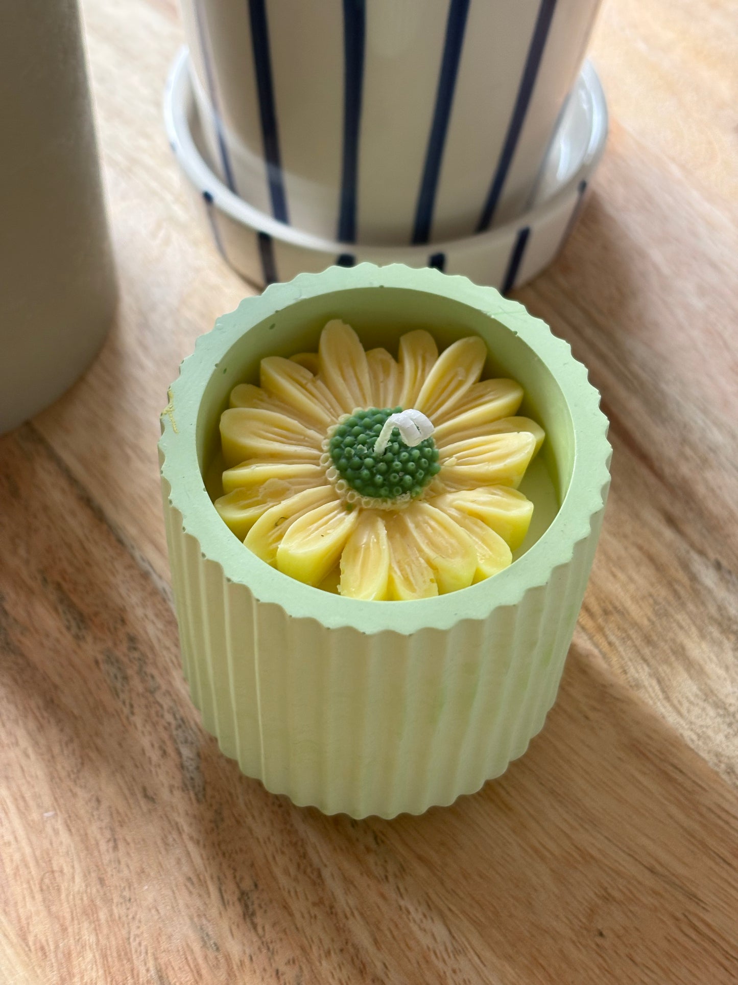 bougie marguerite