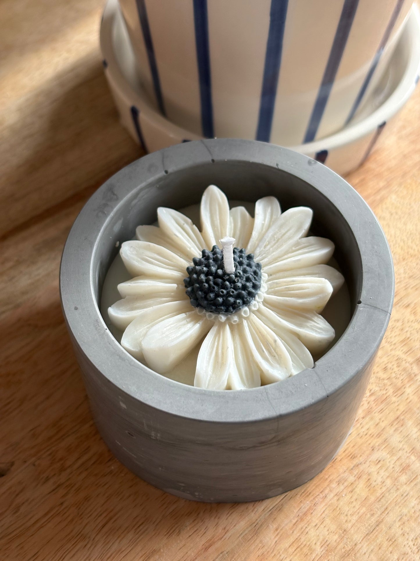 pot marguerite pot gris