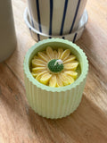 bougie marguerite