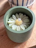 Bougie marguerite