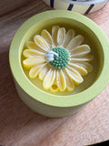 Bougie marguerite pot vert
